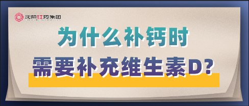 为什么补钙时需要补充维生素D?